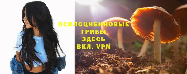 ГАЛЛЮЦИНОГЕННЫЕ ГРИБЫ Пролетарск