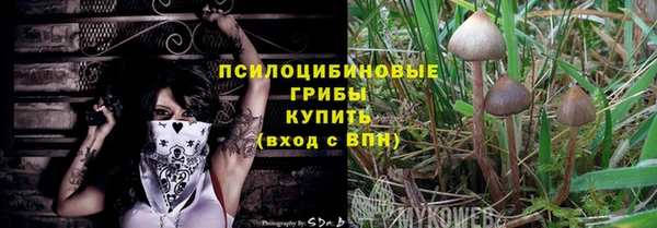 ГАЛЛЮЦИНОГЕННЫЕ ГРИБЫ Пролетарск