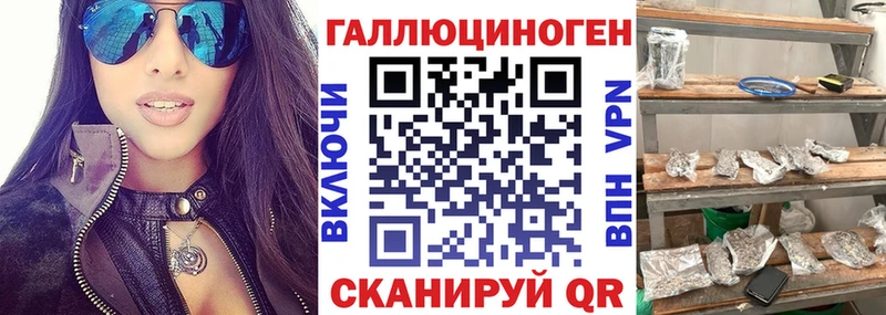 мориарти формула  Зубцов  Псилоцибиновые грибы Psilocybe 